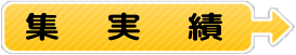実績集